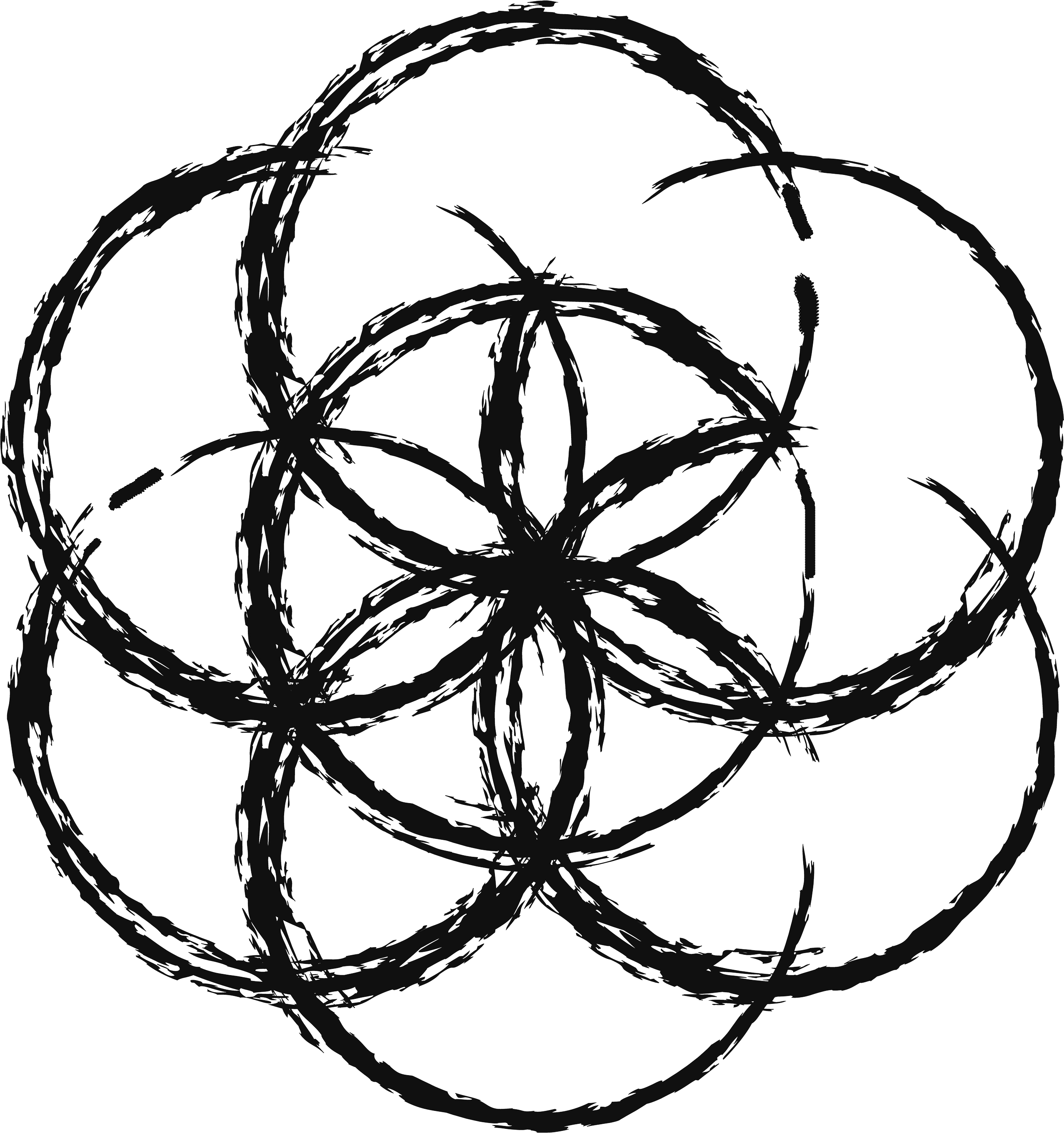 432oneness Flower of Life